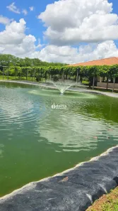 Fazenda/Sítio à venda, 15000m² no Vieno, Araguari