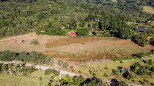 Fazenda/Sítio à venda, 10030m² no Vila Franca, Piraquara