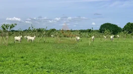 Fazenda/Sítio com 1 Quarto à venda, 22160000m² no Zona Rural, Jaíba
