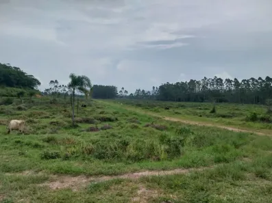 Lote/Terreno à venda, 730000m² no Barranco Alto, Ilhota