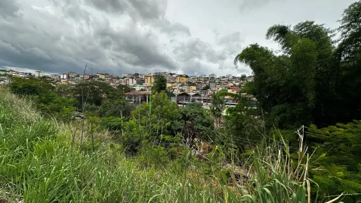 Lote/Terreno à venda, 4848m² no Nova Era, Juiz de Fora