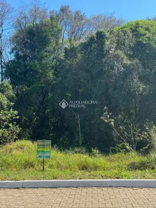 Lote/Terreno à venda, 420m² no Vista Alegre, Ivoti
