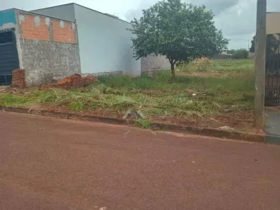 Lote/Terreno à venda, 250m² no Jardim Padovani, Londrina
