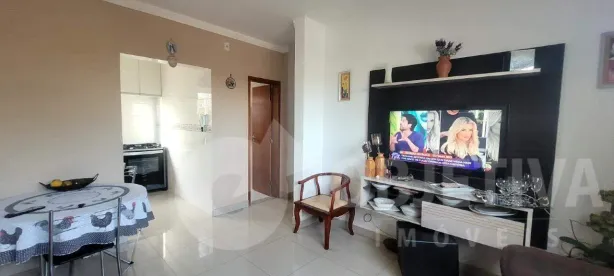 Apartamento com 2 Quartos para alugar, 56m² no Segismundo Pereira, Uberlândia