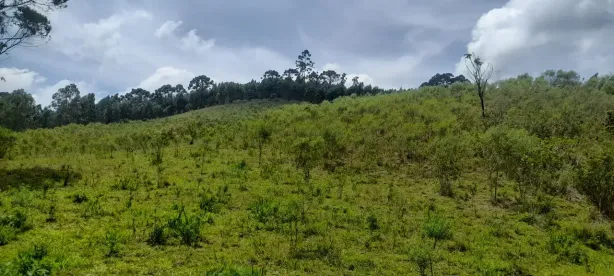Fazenda/Sítio com 2 Quartos à venda, 72600m² no , Piracaia