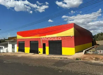 Galpão/Depósito/Armazém para alugar, 420m² no Dona Zulmira, Uberlândia