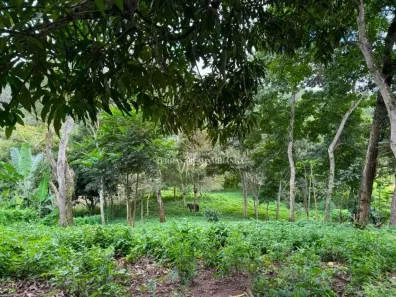 Lote/Terreno à venda, 3500m² no , Mulungu