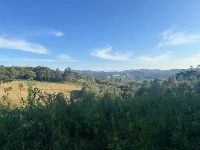 Fazenda/Sítio à venda, 8400m² no Bateias de Baixo, Campo Alegre