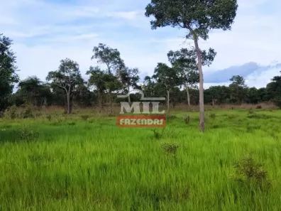 Fazenda/Sítio à venda, 500m² no , Araguaçu