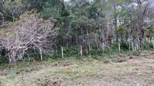 Lote/Terreno à venda, 5200m² no Centro Histórico, Paranaguá