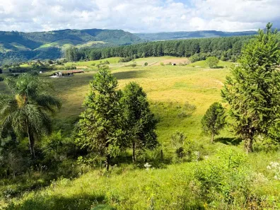 Lote/Terreno com 1 Quarto à venda, 84000m² no São Leonardo, Alfredo Wagner