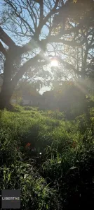 Lote/Terreno à venda, 420m² no Belém Novo, Porto Alegre