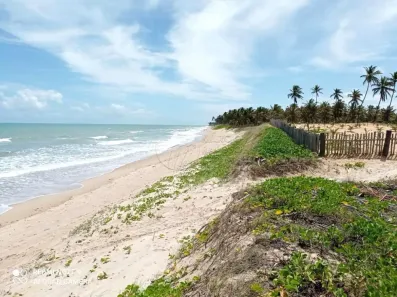 Lote/Terreno à venda, 1350m² no , Barra de Santo Antônio
