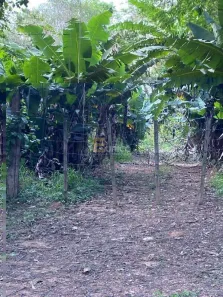 Lote/Terreno à venda, 3700m² no Vista Alegre, Vinhedo