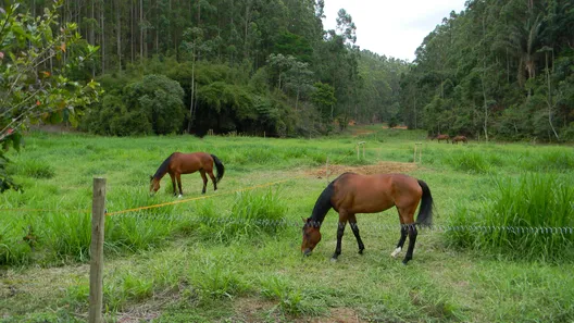 Lote/Terreno à venda, 123024m² no , Engenheiro Paulo de Frontin