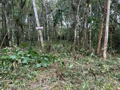 Lote/Terreno à venda, 182m² no Gaivota (Interior), Itanhaém
