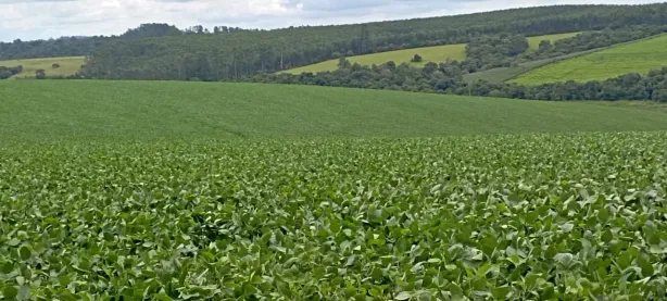 Fazenda/Sítio com 1 Quarto à venda, 484000m² no , Pilar do Sul