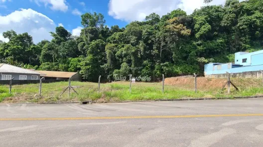 Lote/Terreno para alugar, 250m² no Planalto, Brusque