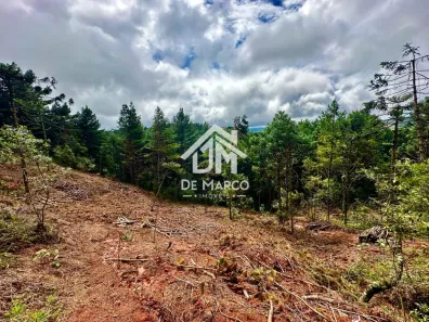 Lote/Terreno à venda, 1000m² no , Campos do Jordão