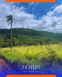 Lote/Terreno à venda, 600m² no Terra Preta (Terra Preta), Mairiporã