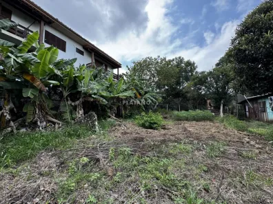 Lote/Terreno à venda, 403m² no Cidade Nova, Ivoti
