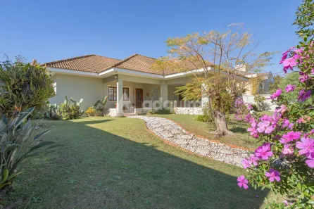 Casa de Condomínio com 4 Quartos à venda, 282m² no Orfãs, Ponta Grossa