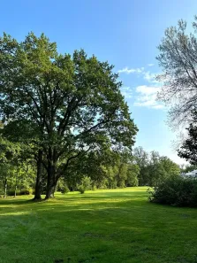 Fazenda/Sítio à venda, 1000m² no Jardim Vitoria, Mairinque