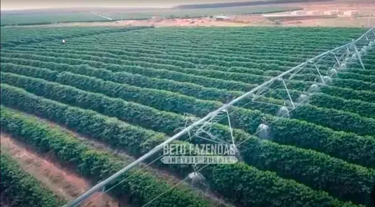 Fazenda/Sítio à venda, 20500000m² no , Buritizeiro