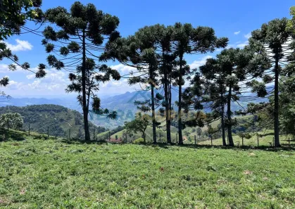 Lote/Terreno à venda, 84700m² no , São Bento do Sapucaí