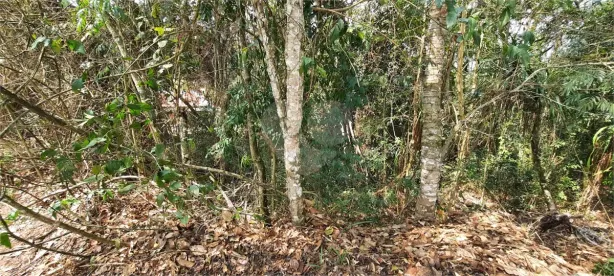 Lote/Terreno à venda, 1952m² no Caraguatá, Mairiporã