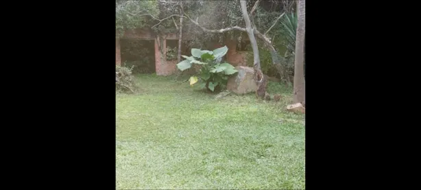 Lote/Terreno à venda, 605m² no Alegria, Guaíba