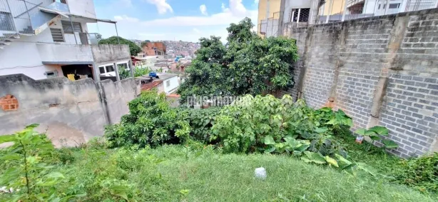 Lote/Terreno à venda, 300m² no Cidade Ademar, São Paulo