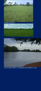 Fazenda/Sítio à venda, 9000000m² no , São Félix do Araguaia