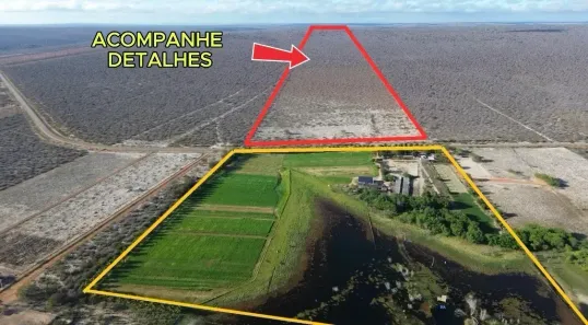 Fazenda/Sítio à venda, 500000m² no Centro, Glória