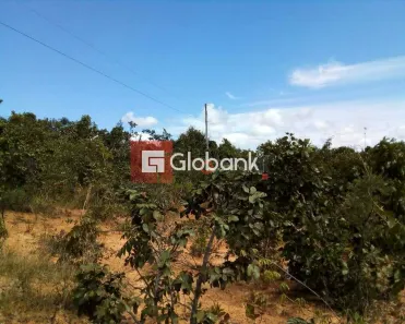 Fazenda/Sítio com 1 Quarto à venda, 3500m² no Todos os Santos, Montes Claros