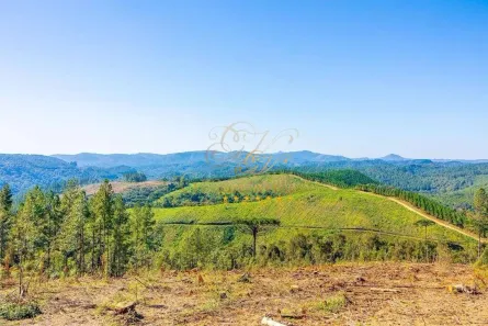 Fazenda/Sítio com 1 Quarto à venda, 2693786m² no Centro, Campo Largo