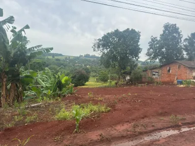 Fazenda/Sítio à venda, 6572m² no Chácaras São Miguel, Londrina