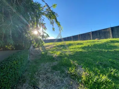Lote/Terreno à venda, 698m² no Residencial Parque das Araucárias, Campinas