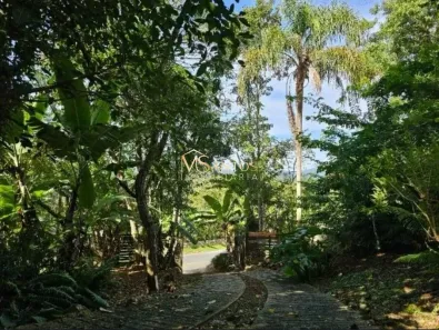 Lote/Terreno à venda, 1895m² no Canasvieiras, Florianópolis