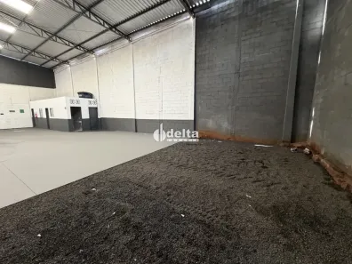 Ponto Comercial para alugar, 300m² no Dona Zulmira, Uberlândia