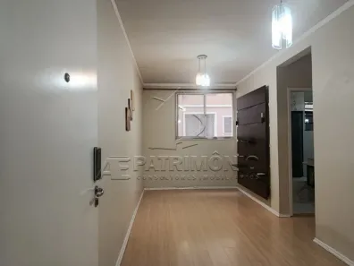 Apartamento com 2 Quartos para alugar, 52m² no Jardim Vera Cruz, Sorocaba