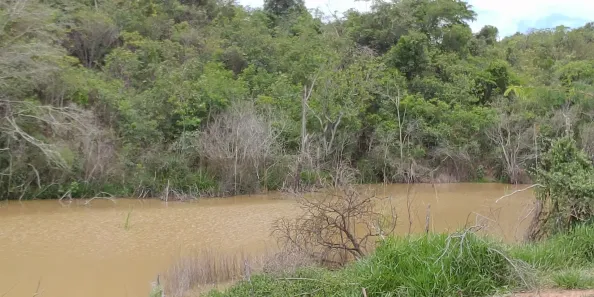 Lote/Terreno à venda, 20000m² no , Jequitibá