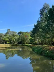 Fazenda/Sítio com 2 Quartos à venda, 240m² no , Quitandinha