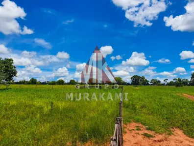 Fazenda/Sítio com 1 Quarto à venda, 2531m² no Nova Esperança, Rio Negro