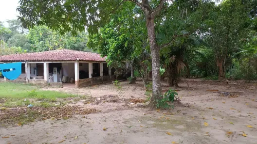 Fazenda/Sítio à venda, 11000m² no Trizidela da Maioba, São José de Ribamar