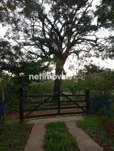 com 3 Quartos à venda, 30000m² no , Itaguara