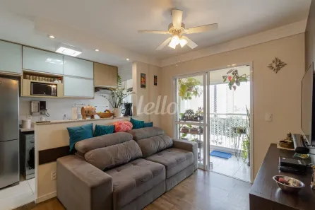 Apartamento com 2 Quartos para alugar, 65m² no Fundação, São Caetano do Sul