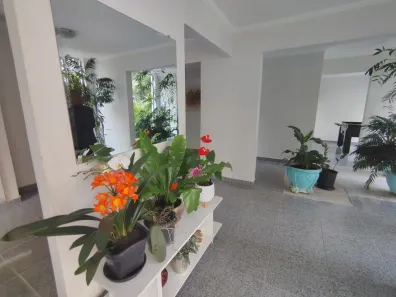 Apartamento com 2 Quartos para alugar, 52m² no Jardim Umarizal, São Paulo