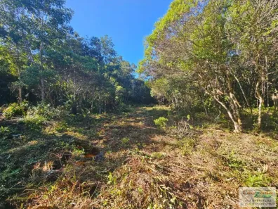 Lote/Terreno à venda, 308m² no Estância Pérola Negra, Peruíbe