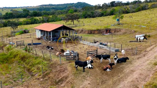Fazenda/Sítio com 3 Quartos à venda, 670000m² no Centro, Alexânia